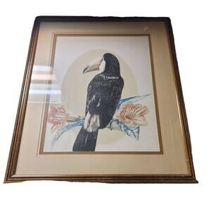 Catherine O'Connor "Gertrude" Hand Signed Fine Art Etching Toucan FRAMED glass